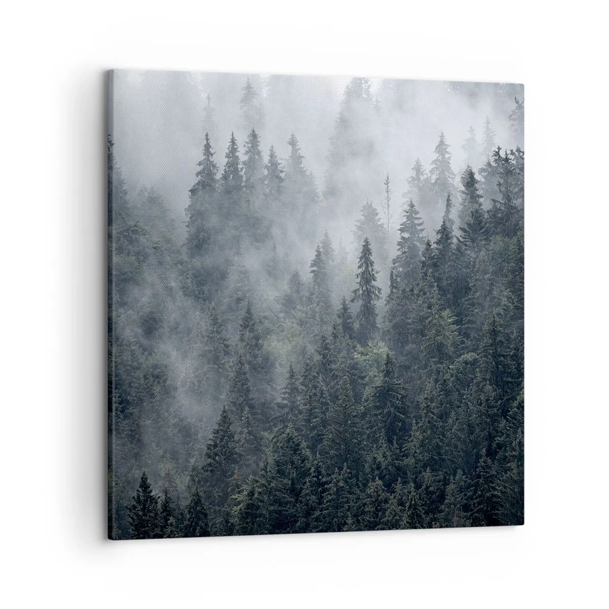 Quadro su tela - Stampe su Tela - Alba nel bosco - 50x50 cm