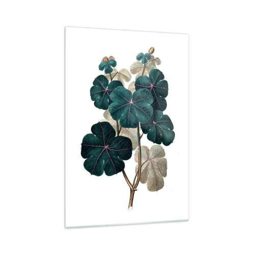 Quadro su vetro - Illustrazione botanica con foglie nei toni del verde e del beige - 70x100cm - Dal vecchio erbario - Decorazione murale moderna per soggiorno e camera da letto ARTTOR