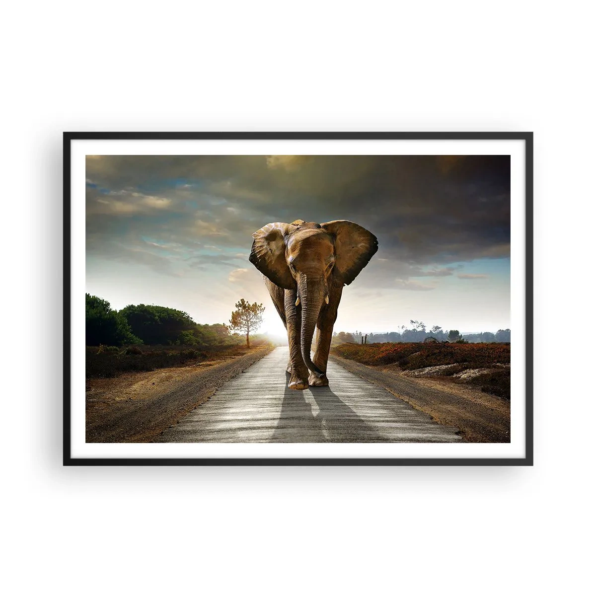 Poster in cornice nera - Un elefante che cammina lungo una strada attraverso un paesaggio al tramonto - 100x70cm - E non nel negozio di cristalli - Decorazione murale moderna per soggiorno e camera da letto ARTTOR