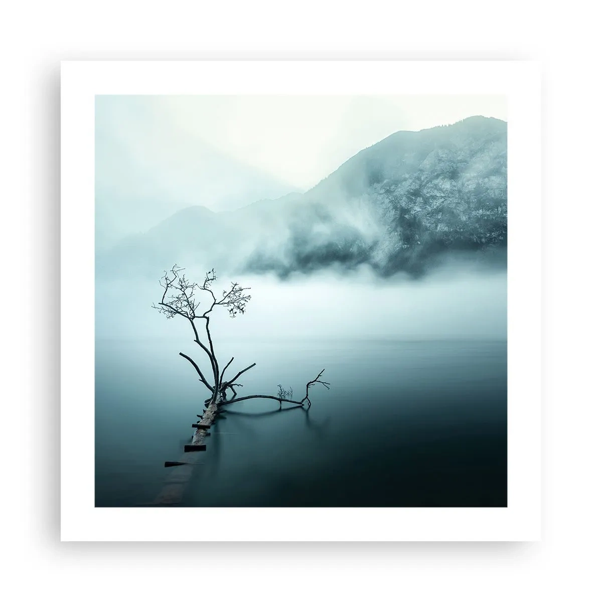Poster - Dall'acqua e dalla nebbia - 50x50 cm