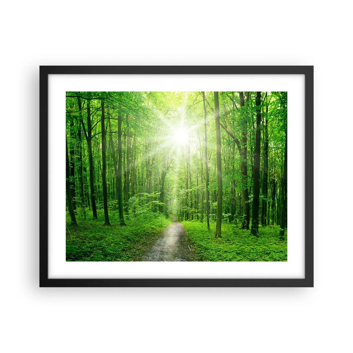 Poster in cornice nera - Cattedrale verde - 50x40 cm