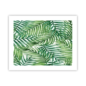 Poster - Sotto un baldacchino verde - 50x40 cm