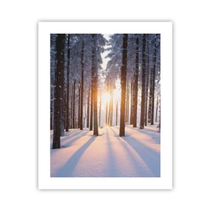 Poster - Decisamente nero su bianco - 40x50 cm