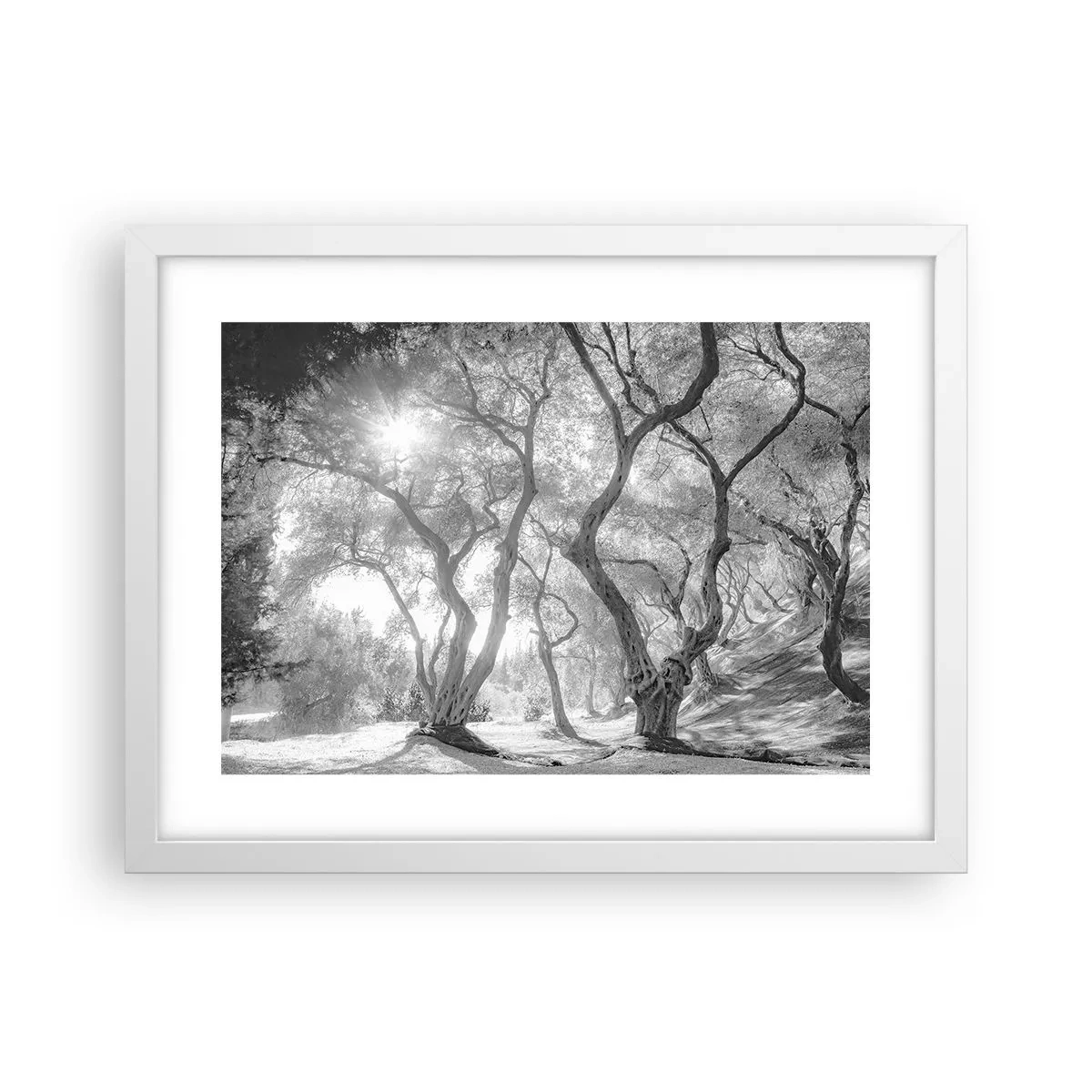 Poster in cornice bianca - Nell'orto degli ulivi - 40x30 cm