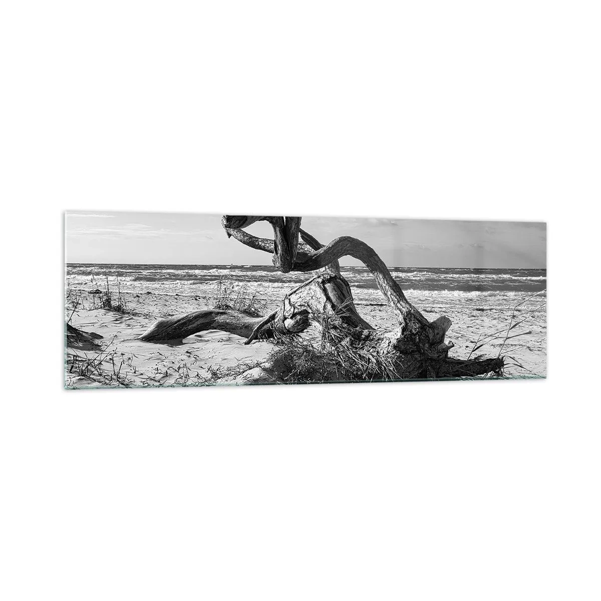 Quadro su vetro - Paesaggio in bianco e nero con un albero morto sulla spiaggia - 160x50cm - Scolpito dal mare - Decorazione murale moderna per soggiorno e camera da letto ARTTOR
