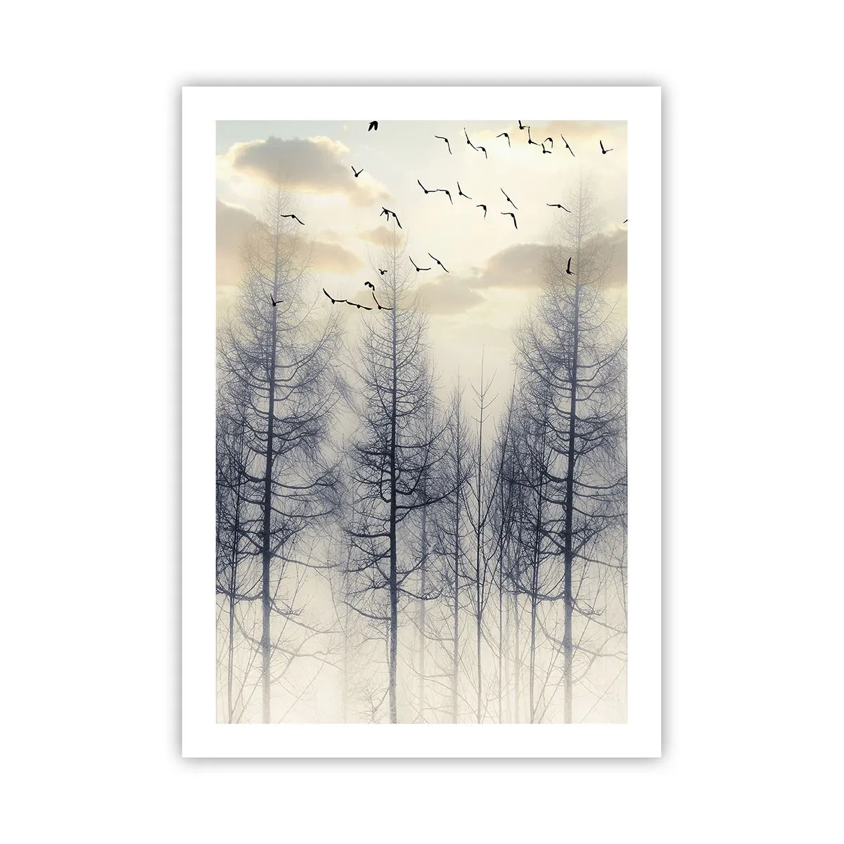 Poster - Una foresta nebbiosa con alberi alti e uccelli che volano al mattino - 50x70cm - Lo spirito della foresta - Decorazione murale moderna per soggiorno e camera da letto ARTTOR