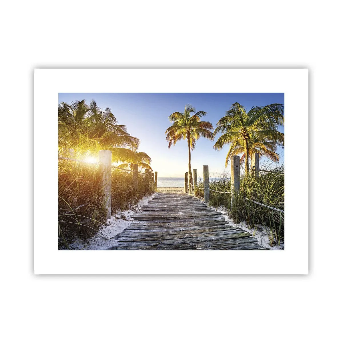 Poster - Dritto in paradiso - 40x30 cm