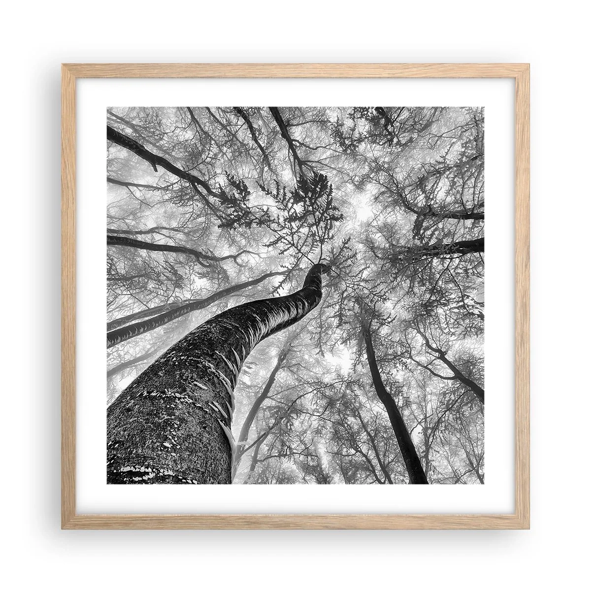 Poster in cornice rovere chiaro - La corsa verso la luce - 50x50 cm