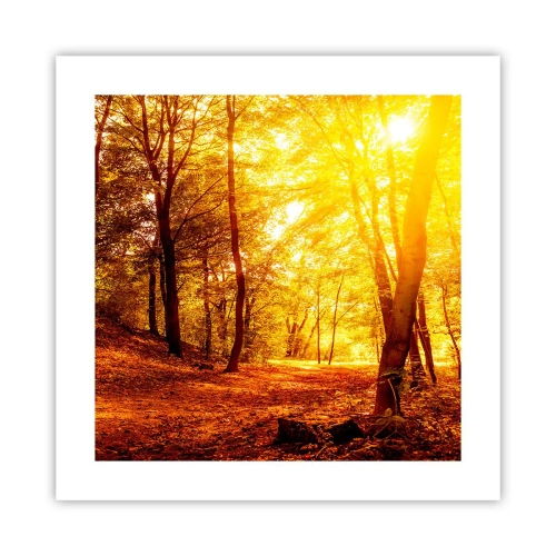 Poster - Verso la radura dorata - 40x40 cm