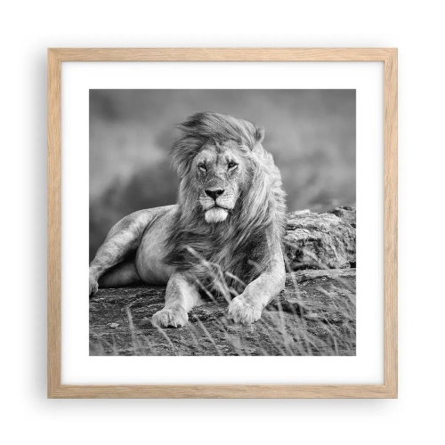 Poster in cornice rovere chiaro - La siesta del re - 40x40 cm