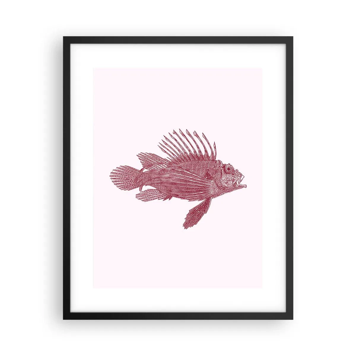 Poster in cornice nera - Abitante di mari esotici - 40x50 cm