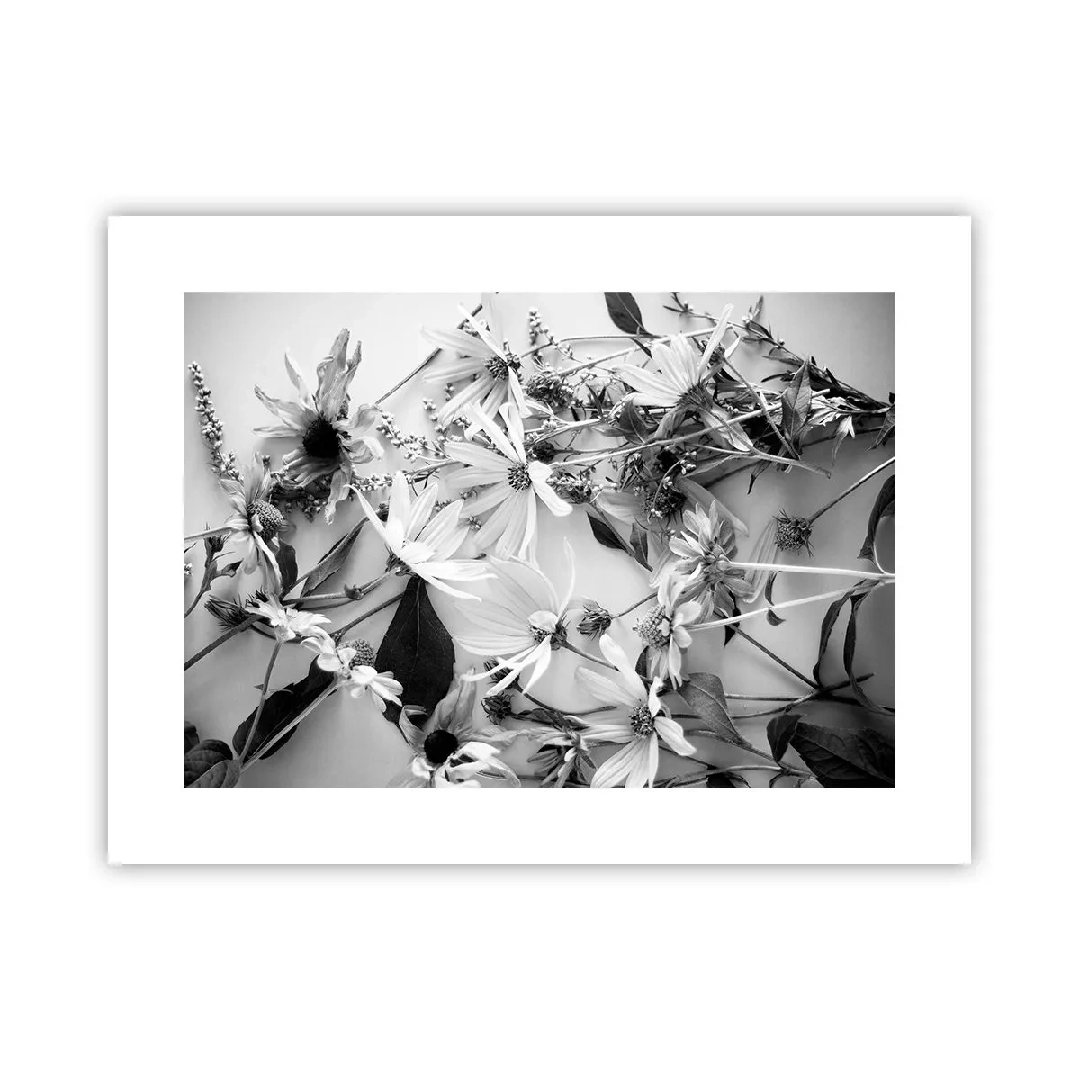 Poster - Un non bouquet di fiori - 40x30 cm