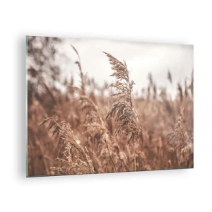 Quadro su vetro - Erbe secche nel vento nella luce autunnale della natura - 70x50cm - Nei campi è già autunno - Decorazione murale moderna per soggiorno e camera da letto ARTTOR