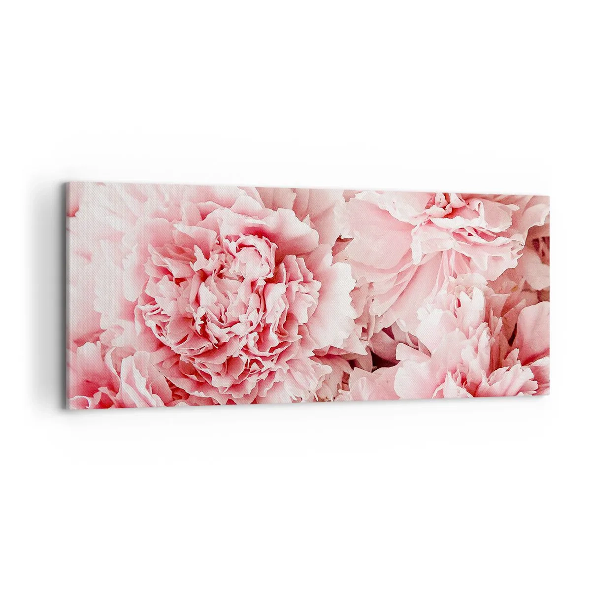 Quadro su tela - Stampe su Tela - Delicate peonie rosa in un ambiente delicato - 120x50cm - Sogno rosa - Decorazione murale moderna per soggiorno e camera da letto ARTTOR