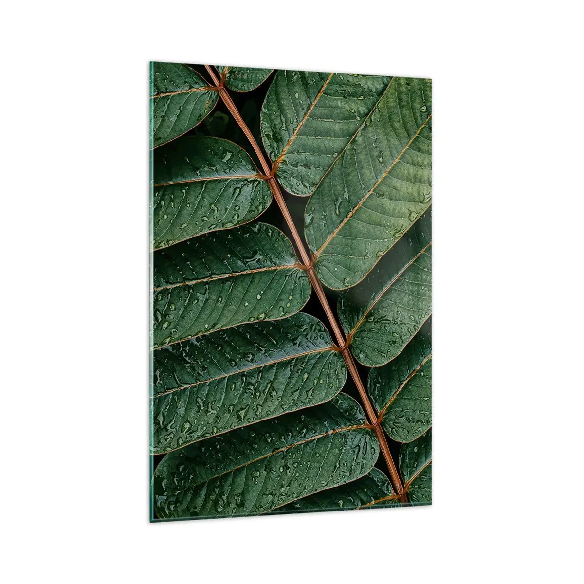 Quadro su vetro - Macro di foglie verdi con gocce di rugiada - 80x120cm - Al ritmo verde - Decorazione murale moderna per soggiorno e camera da letto ARTTOR