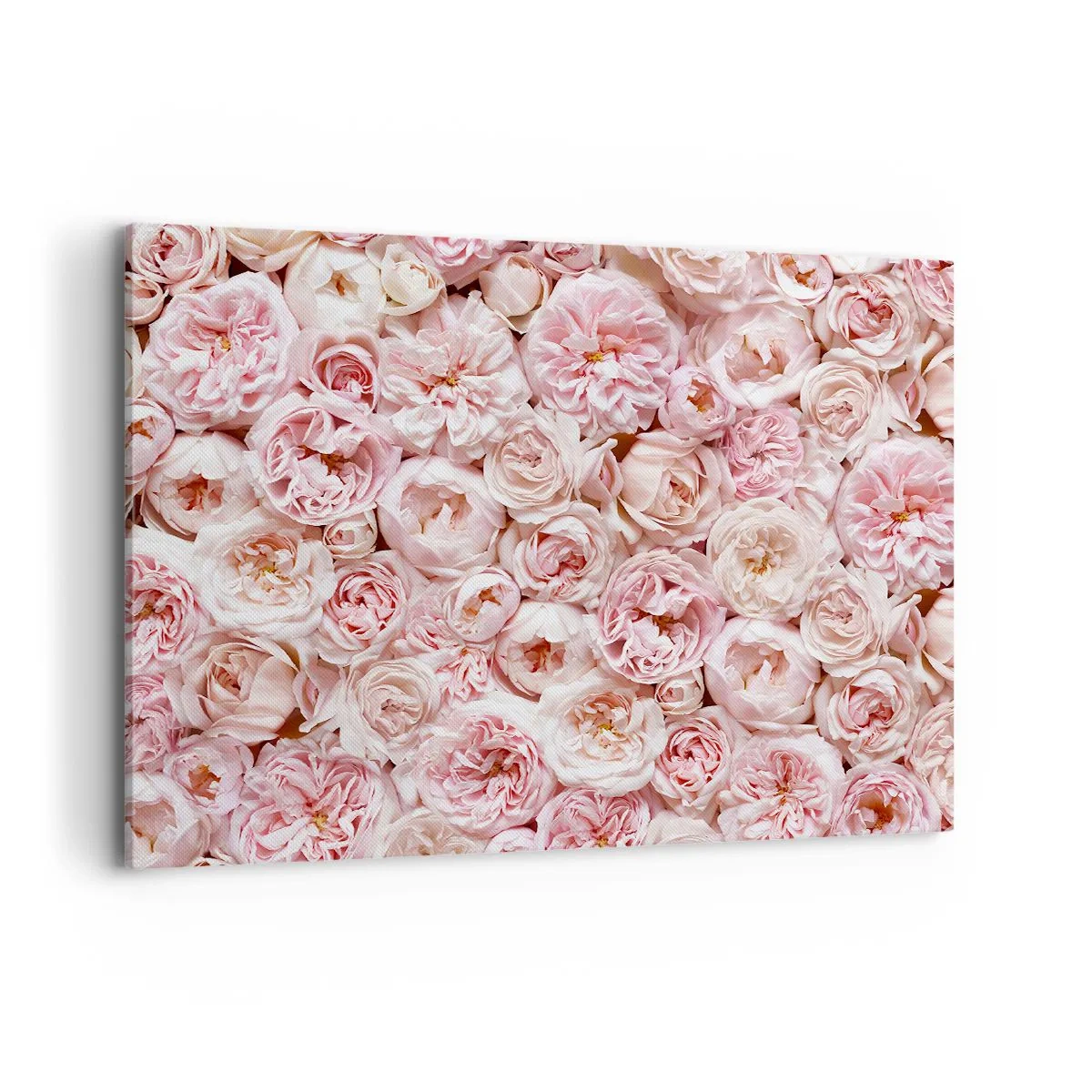 Quadro su tela - Stampe su Tela - Delicate rose in tonalità di rosa su tutta la superficie - 100x70cm - Coperto di rose - Decorazione murale moderna per soggiorno e camera da letto ARTTOR