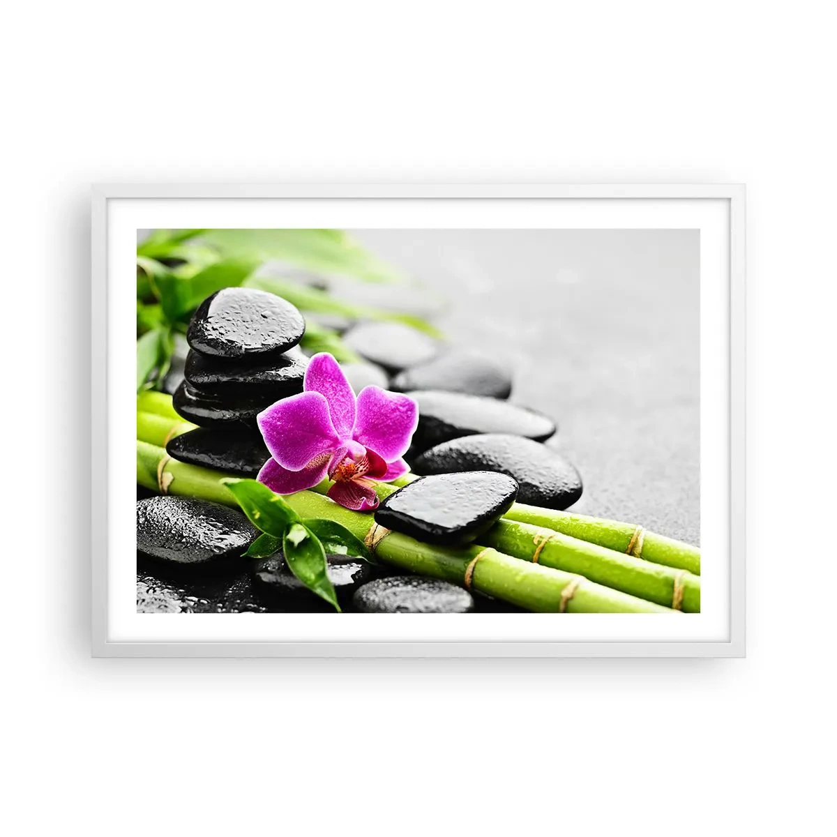 Poster in cornice bianca - Un tranquillo equilibrio - 70x50 cm