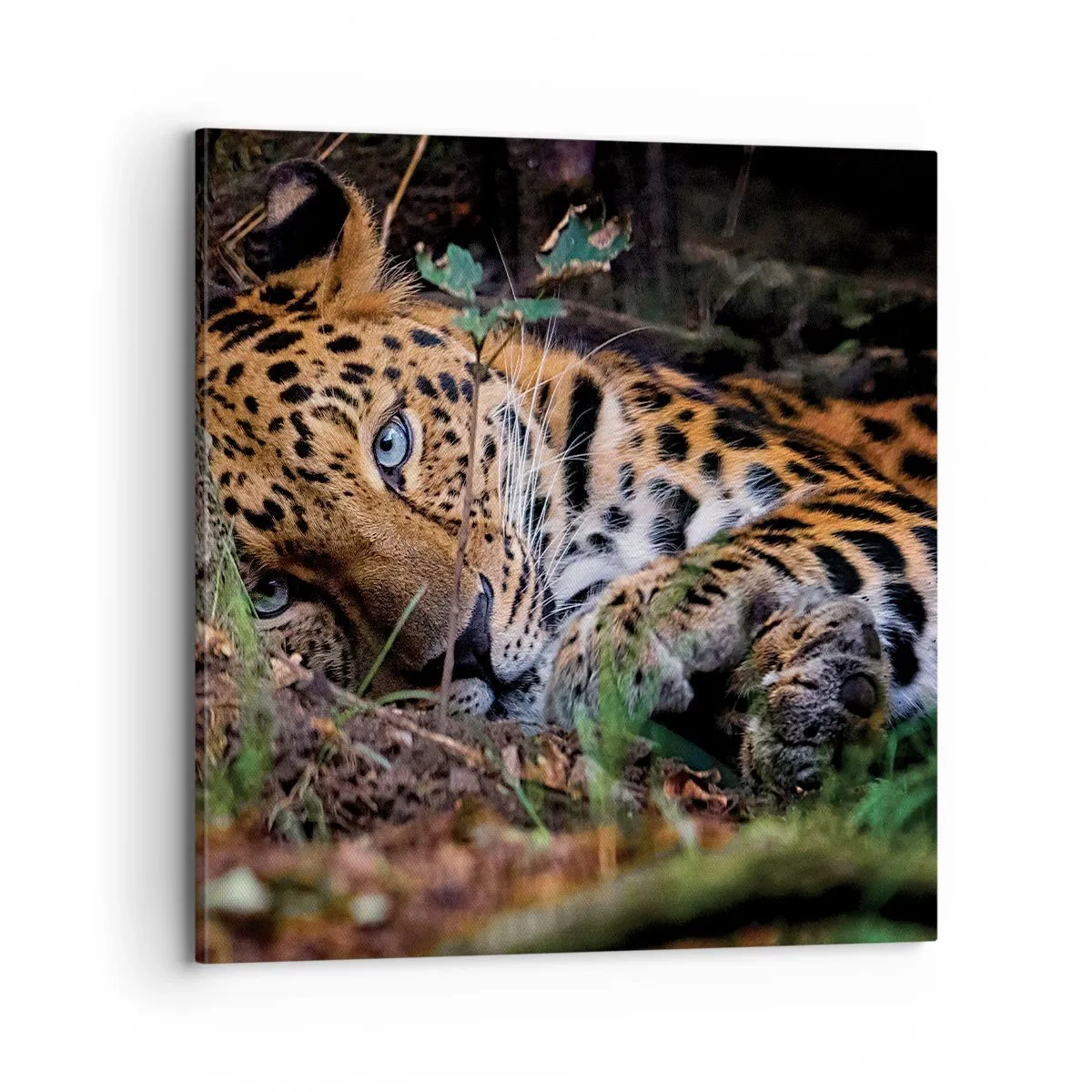 Quadro su tela - Stampe su Tela - Fidati di me - 70x70 cm