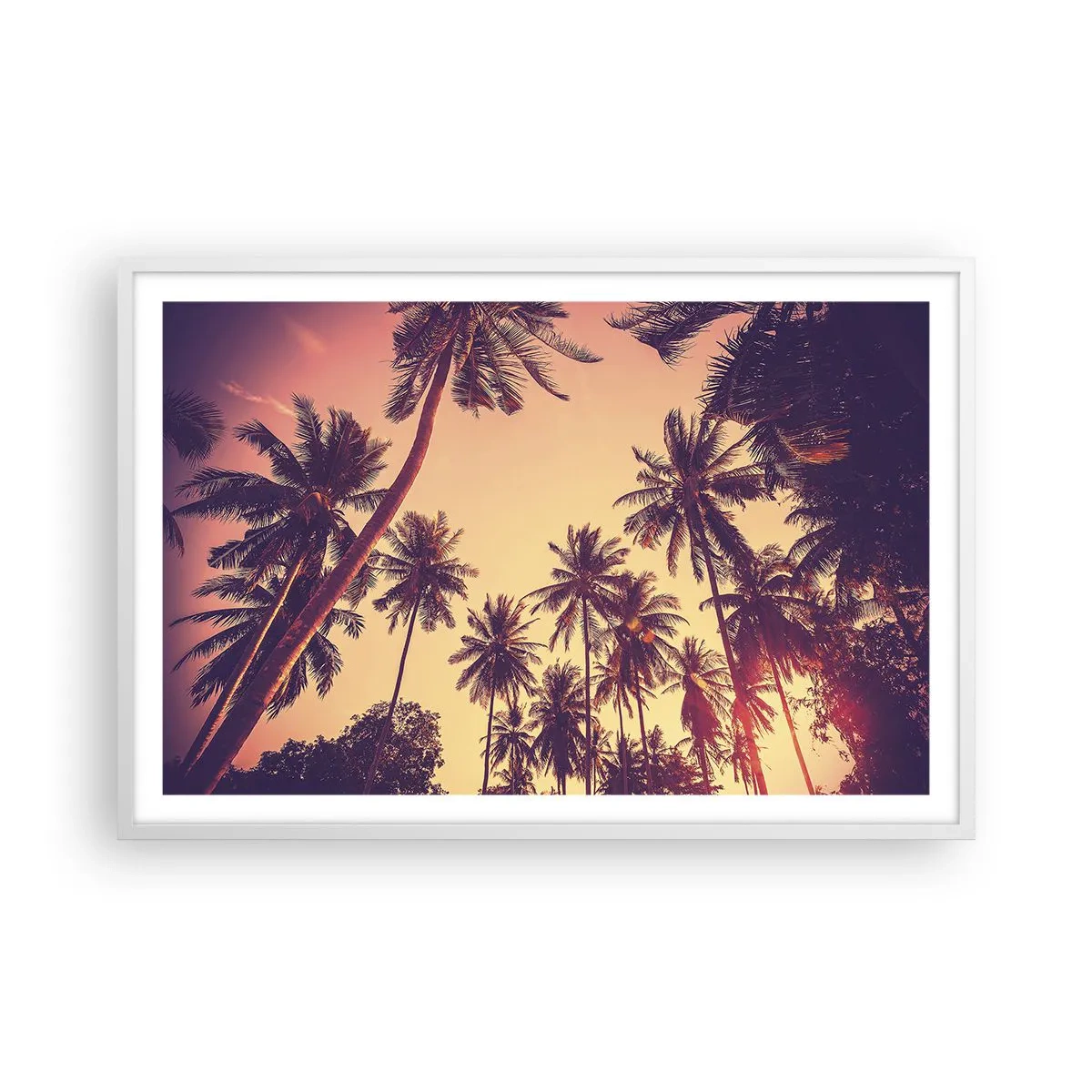 Poster in cornice bianca - Composizione tropicale - 91x61 cm