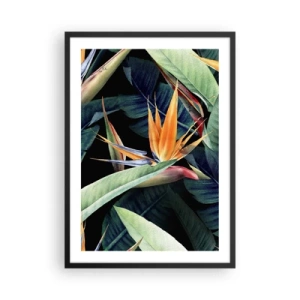 Poster in cornice nera - Fiore esotico di strelitzia su sfondo scuro - 50x70cm - I fiori fiammeggianti dei tropici - Decorazione murale moderna per soggiorno e camera da letto ARTTOR