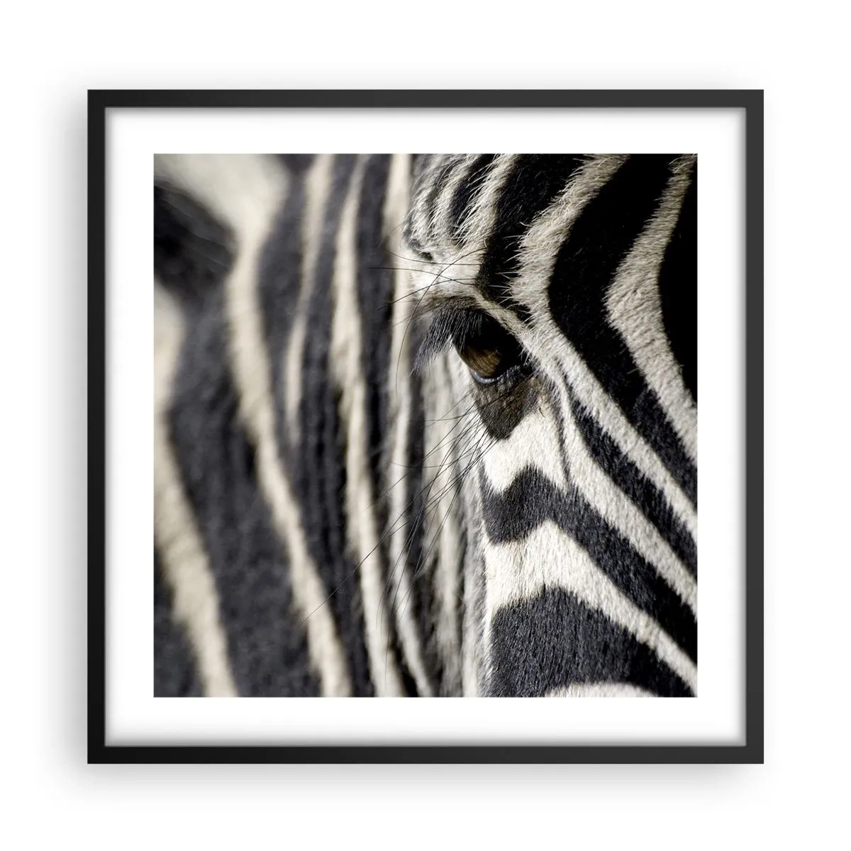 Poster in cornice nera - Ritratto a strisce - 50x50 cm