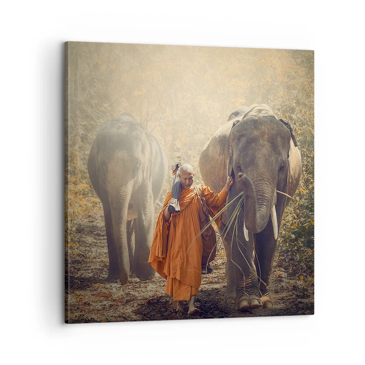 Quadro su tela - Stampe su Tela - Comprensione perfetta - 60x60 cm