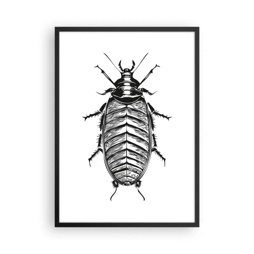 Poster in cornice nera - Illustrazione in bianco e nero di un insetto in stile retail - 50x70cm - Che esemplare! - Decorazione murale moderna per soggiorno e camera da letto ARTTOR