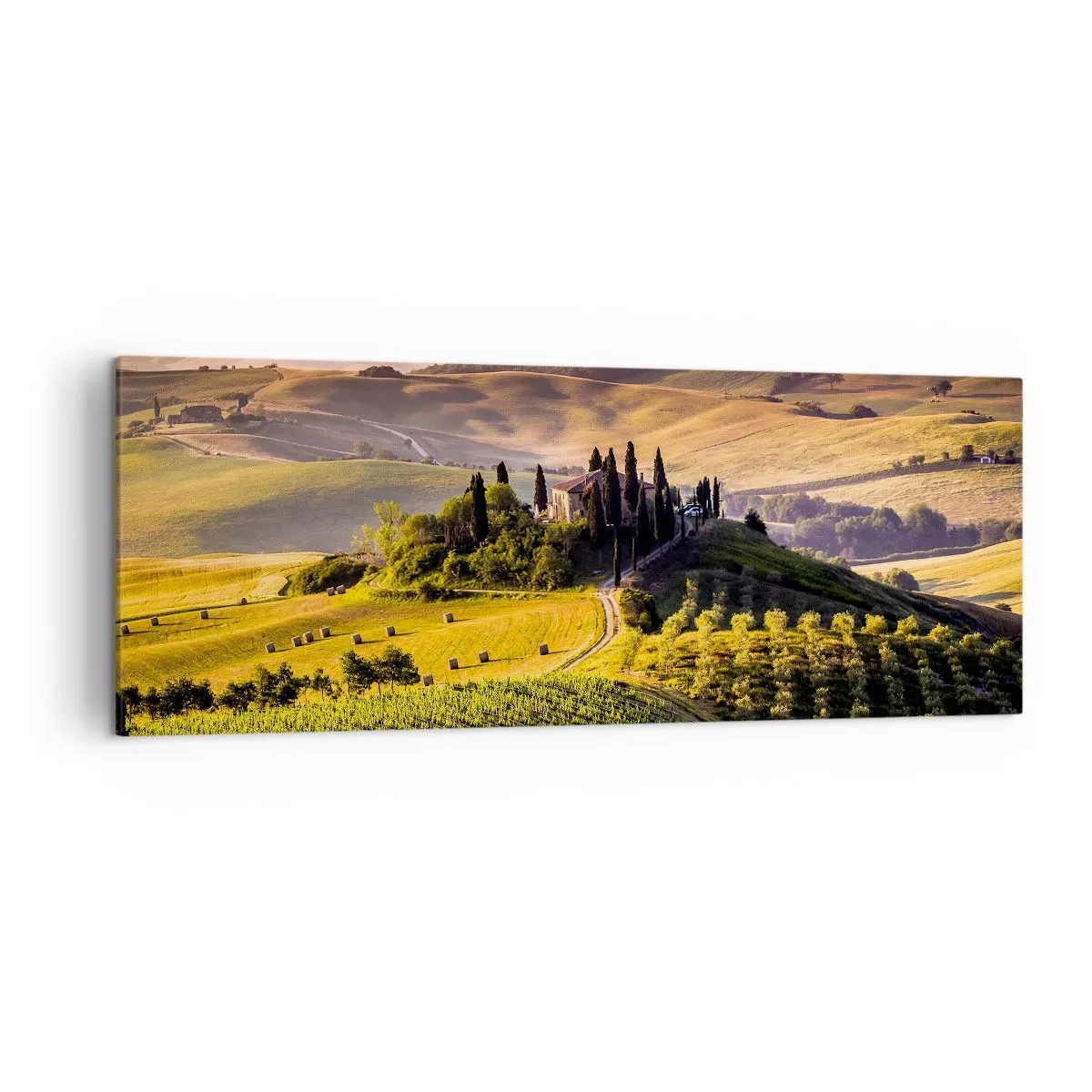 Quadro su tela - Stampe su Tela - Paesaggio toscano con vigneti e una casa su una collina - 140x50cm - Arcadia: paesaggio toscano - Decorazione murale moderna per soggiorno e camera da letto ARTTOR