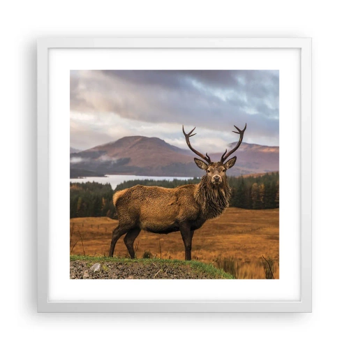 Poster in cornice bianca - Maestà della natura - 40x40 cm