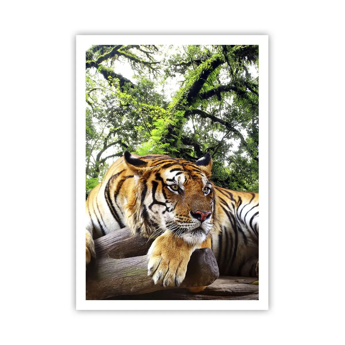 Poster - Con espressioni di stima - 70x100 cm