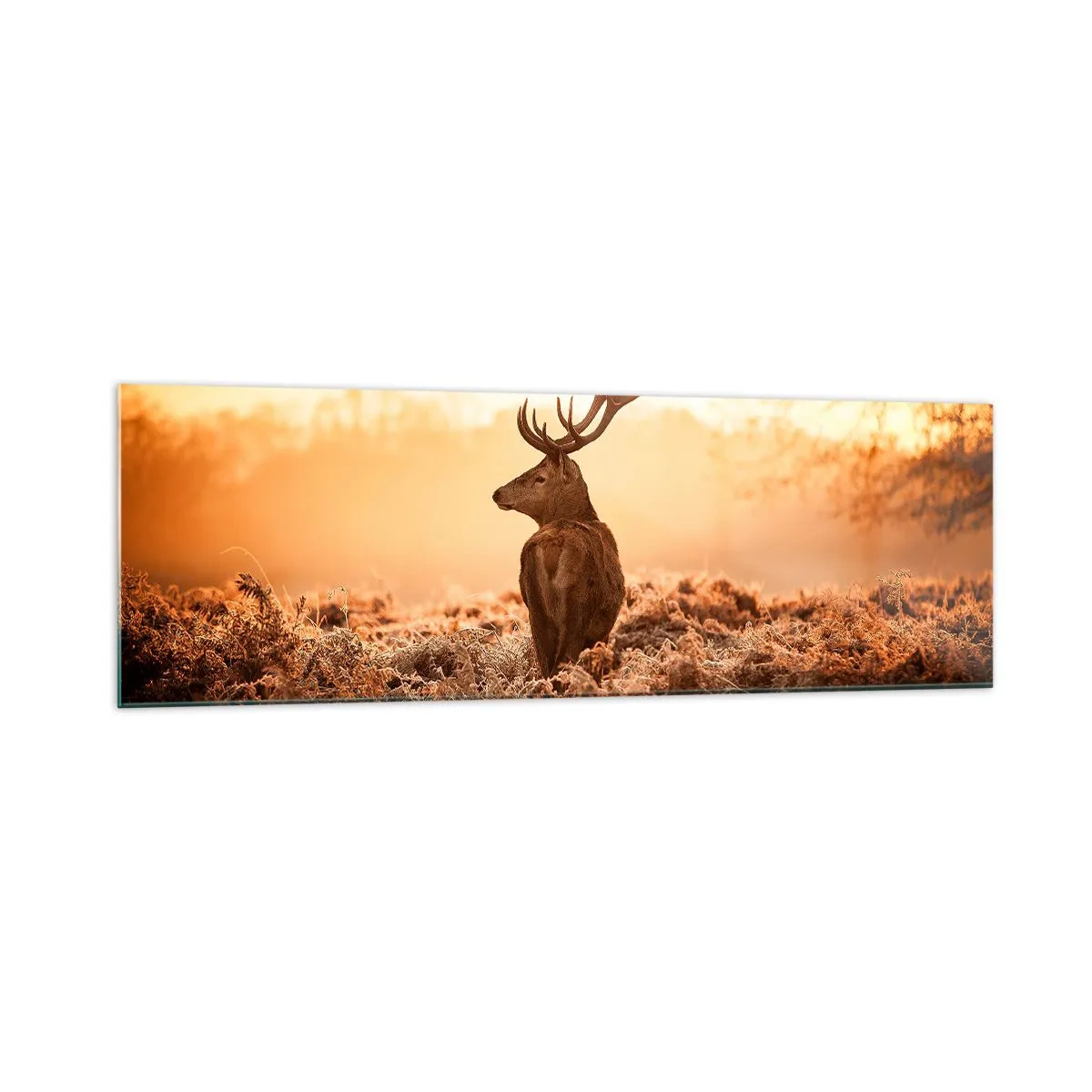 Quadro su vetro - Cervo nei raggi del sole nascente - 160x50cm - Il signore sulle sue terre - Decorazione murale moderna per soggiorno e camera da letto ARTTOR