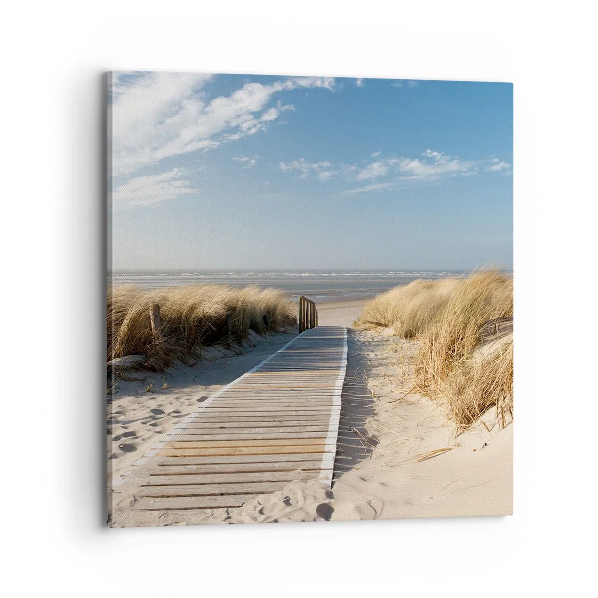 Quadro su tela - Stampe su Tela - Dopo la duna, nel fruscio dell'erba - 70x70 cm