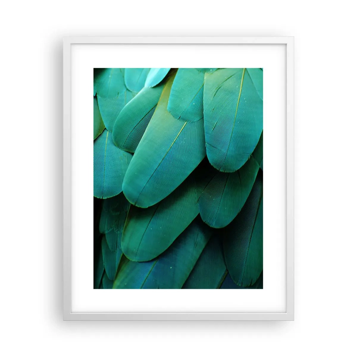 Poster in cornice bianca - Precisione da pappagallo - 40x50 cm