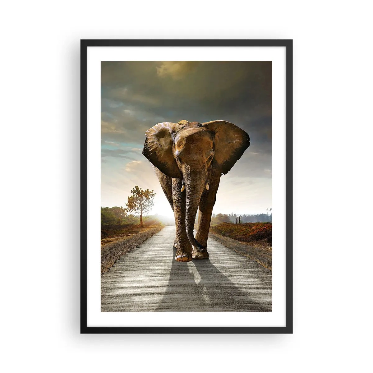 Poster in cornice nera - Un elefante che cammina lungo la strada al tramonto - 50x70cm - E non nel negozio di cristalli - Decorazione murale moderna per soggiorno e camera da letto ARTTOR