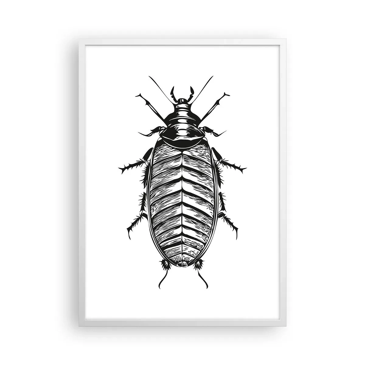 Poster in cornice bianca - Che esemplare! - 50x70 cm