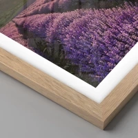 Rovere chiaro