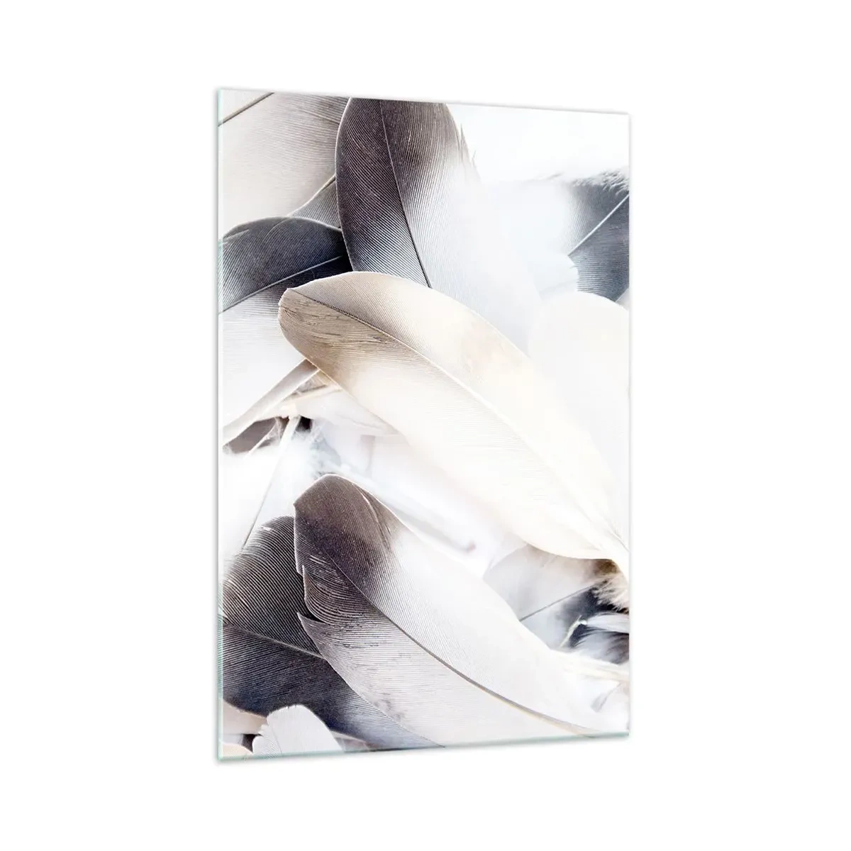 Quadro su vetro - Primo piano di piume delicate nelle tonalità del bianco e del grigio - 70x100cm - Quasi angeliche - Decorazione murale moderna per soggiorno e camera da letto ARTTOR
