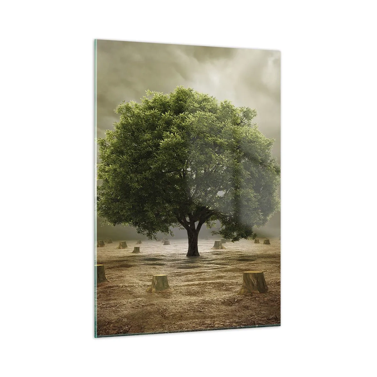 Quadro su vetro - Un albero verde circondato da tronchi contro un cielo cupo - 50x70cm - Ogni speranza - Decorazione murale moderna per soggiorno e camera da letto ARTTOR