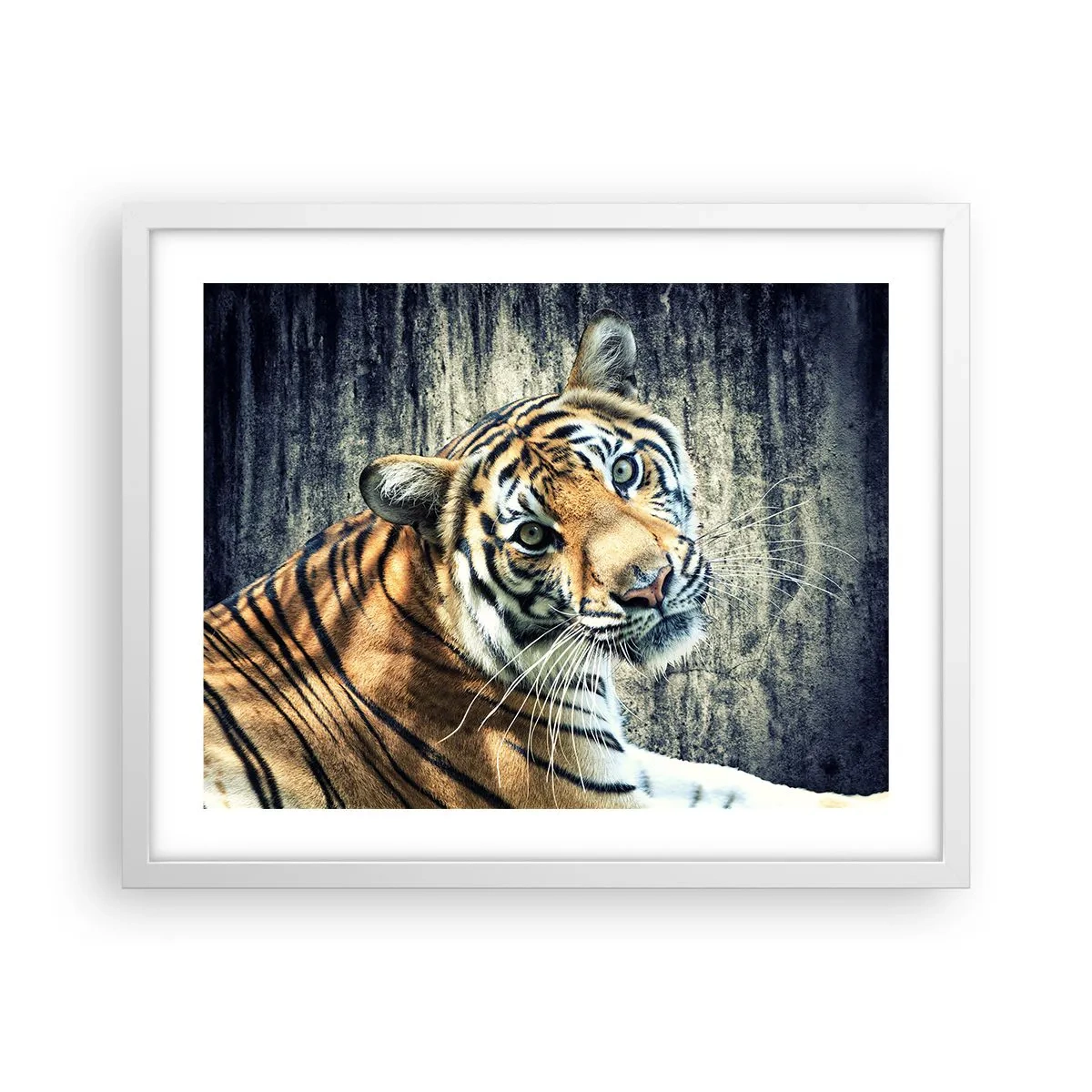 Poster in cornice bianca - Ritratto nei flussi di luce - 50x40 cm