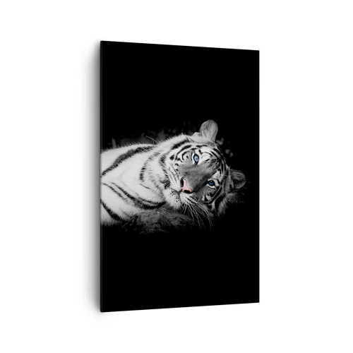 Quadro su tela - Stampe su Tela - Una tigre bianca artisticamente raffigurata su uno sfondo nero - 80x120cm - Selvaggità e pace - Decorazione murale moderna per soggiorno e camera da letto ARTTOR