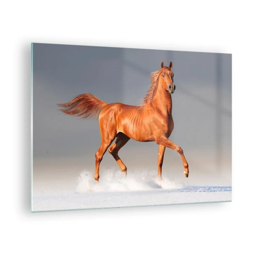 Quadro su vetro - Un cavallo al galoppo contro un cielo luminoso - 70x50cm - Grazia danzante - Decorazione murale moderna per soggiorno e camera da letto ARTTOR