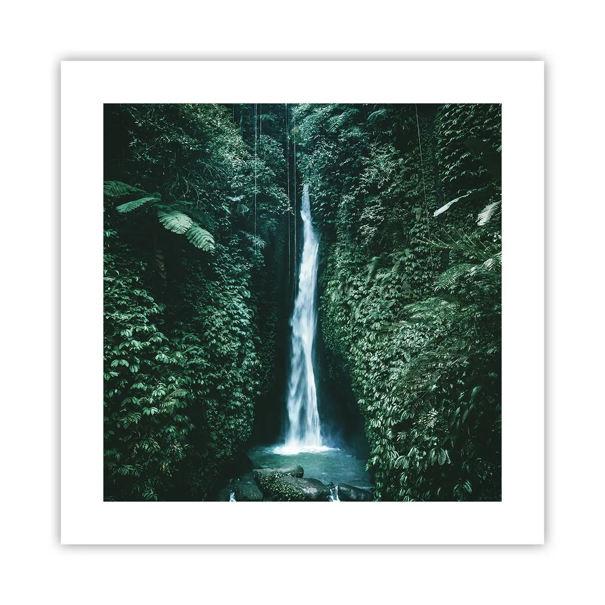 Poster - Terme tropicali - 40x40 cm