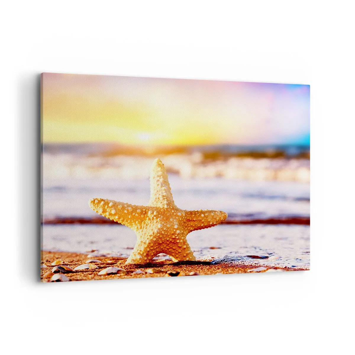 Quadro su tela - Stampe su Tela - Una stella marina su una spiaggia sabbiosa al chiarore del sole al tramonto - 100x70cm - Regalo del mare - Decorazione murale moderna per soggiorno e camera da letto ARTTOR