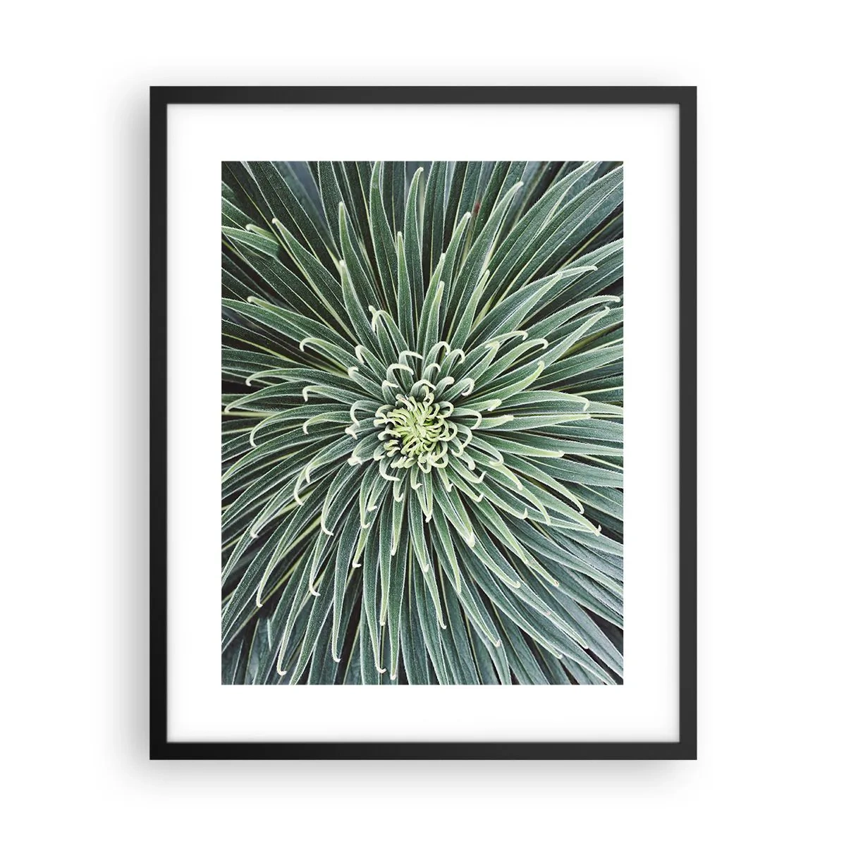 Poster in cornice nera - La nascita delle stelle - 40x50 cm