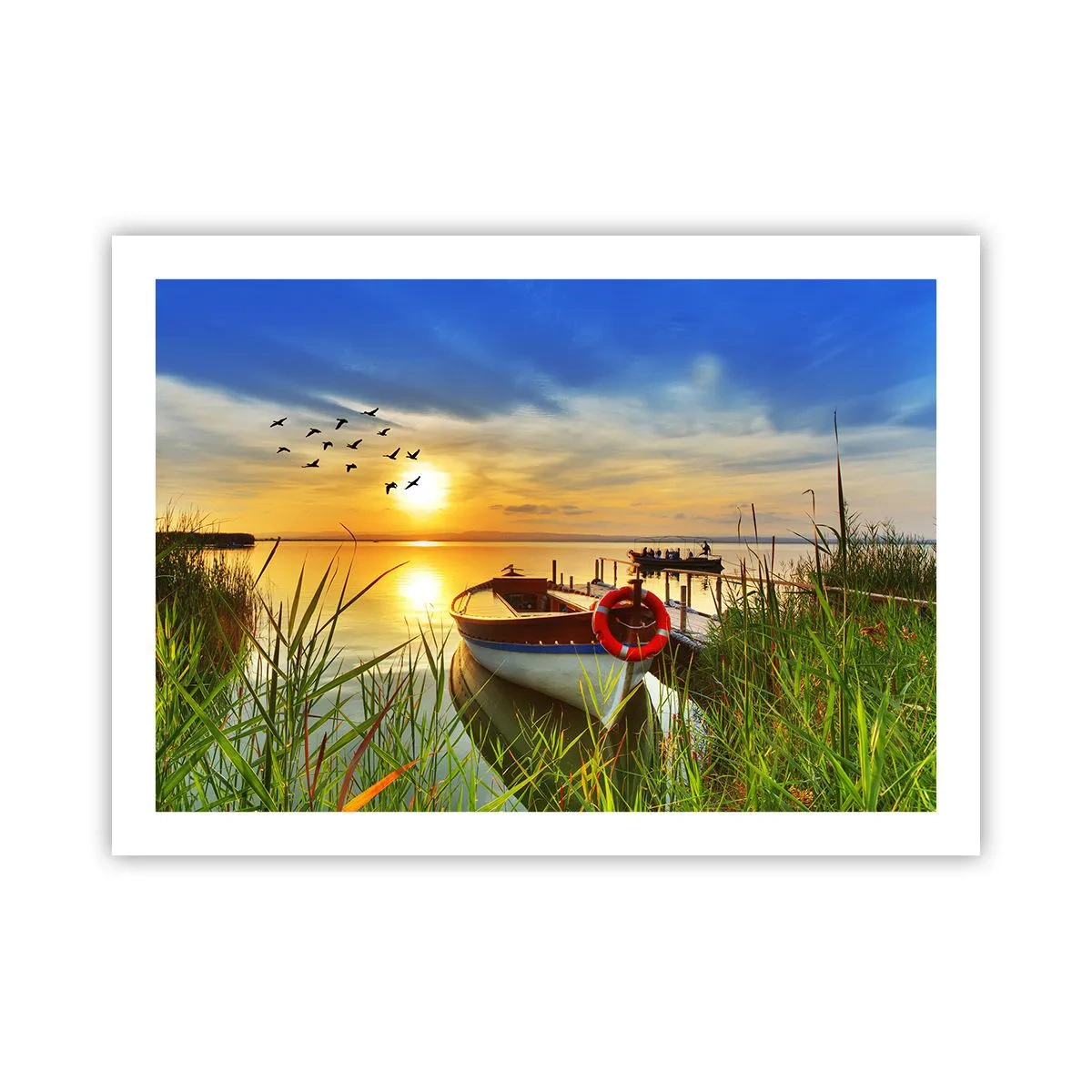 Poster - I cormorano volano già via - 70x50 cm