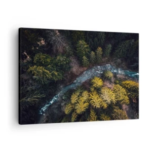 Quadro su tela - Stampe su Tela - Una vista dall'alto di una foresta con un fiume tortuoso - 70x50cm - Sempre più veloce - Decorazione murale moderna per soggiorno e camera da letto ARTTOR