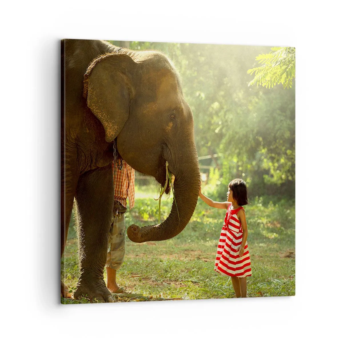 Quadro su tela - Stampe su Tela - La forza dell'amicizia - 60x60 cm