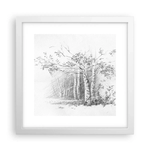 Poster in cornice bianca - La luce della foresta di betulle - 30x30 cm