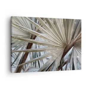 Quadro su tela - Stampe su Tela - Primo piano delle foglie di palma nelle tonalità naturali del verde - 70x50cm - Ventagli dei tropici - Decorazione murale moderna per soggiorno e camera da letto ARTTOR