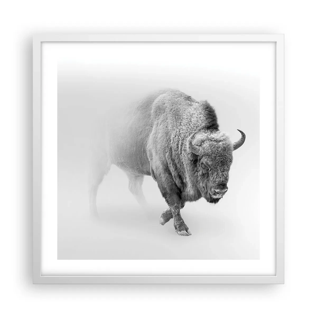 Poster in cornice bianca - Il re della prateria - 50x50 cm